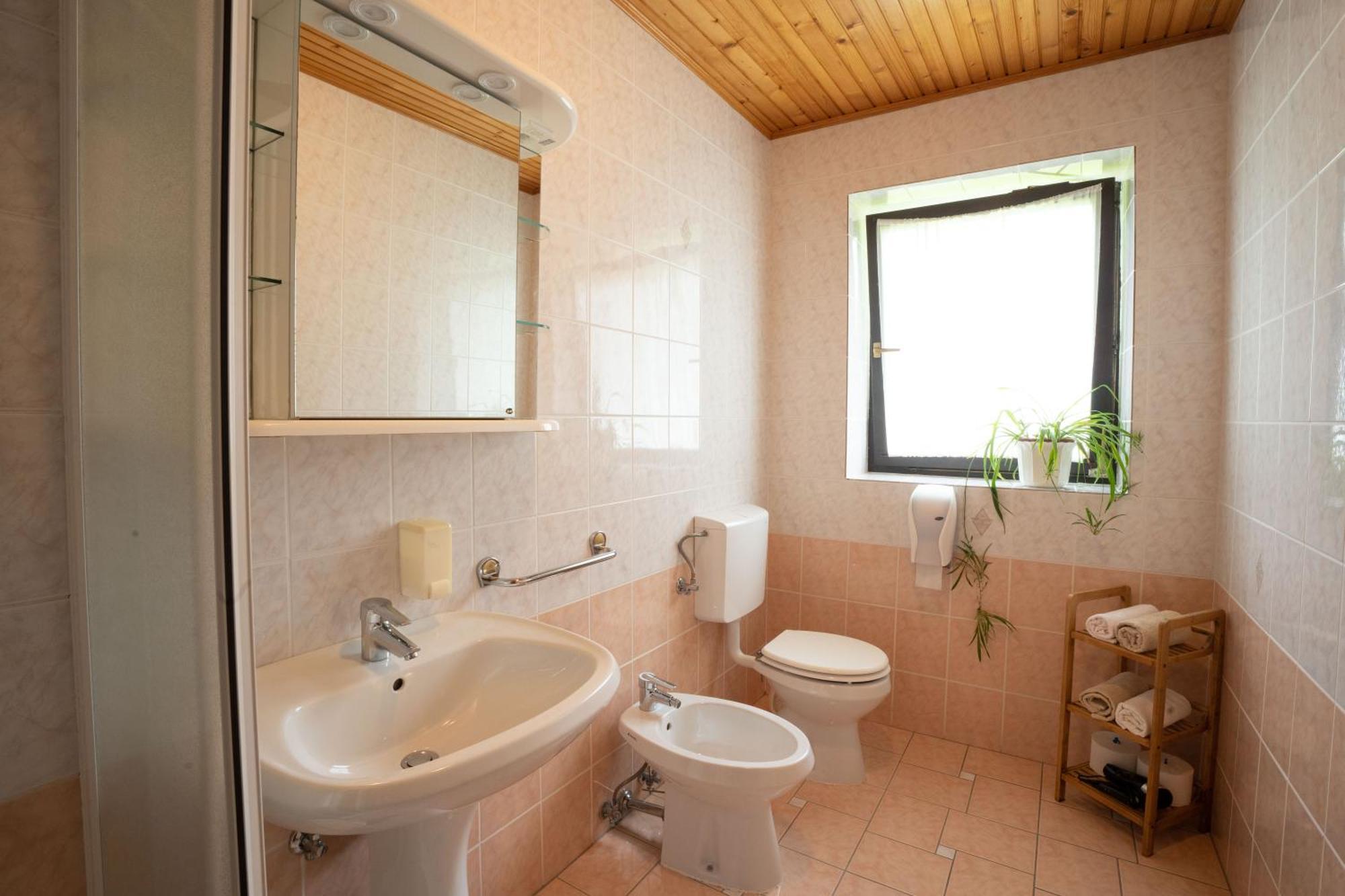 Apartments And Rooms Kravanja Trenta Habitación foto